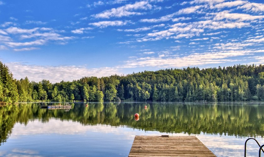 Ein blauer Himmel spiegelt sich im Badesee im Sommer im Harz, mit einem Badesteg.