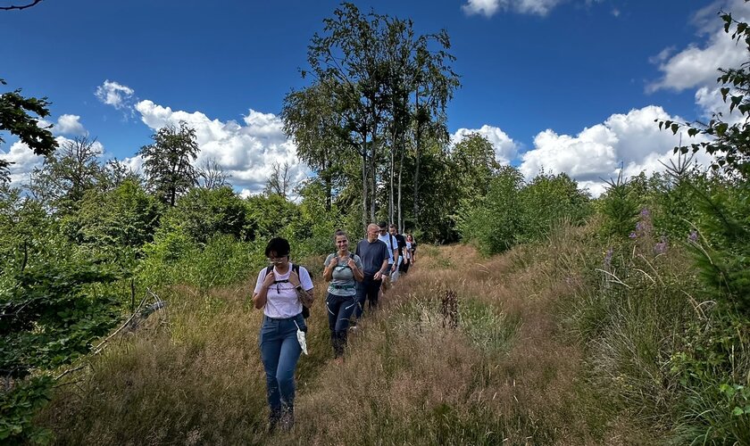 Wanderung für Gruppen von der Wanderei bei herrlichem Sonnenschein im Juli im Südharz.